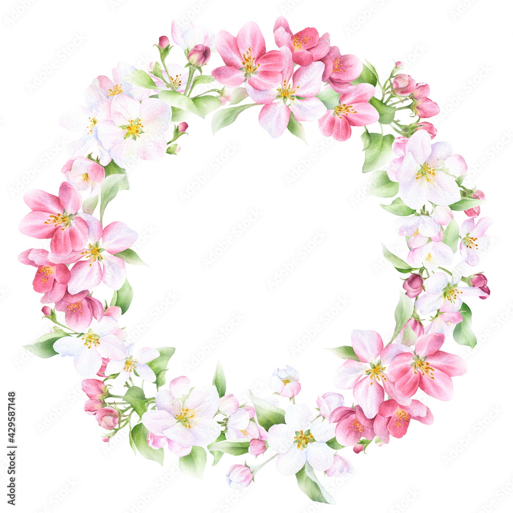 Floral spring wreath with pink apple flowers and green leaves hand drawn in watercolor isolated on a white background. Watercolor illustration. Floral watercolor wreath	
