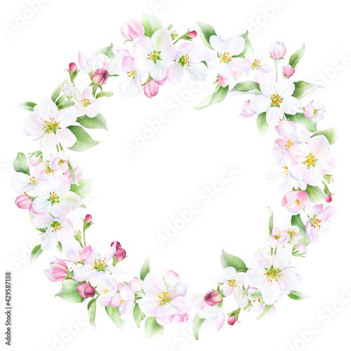 Floral spring wreath with pink apple flowers and green leaves hand drawn in watercolor isolated on a white background. Watercolor illustration. Floral watercolor wreath 