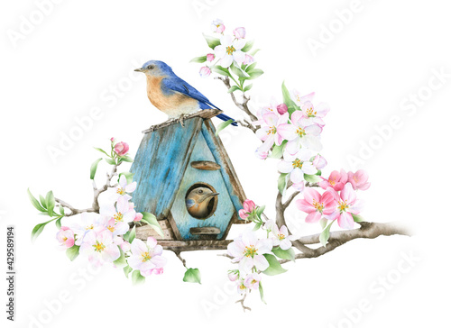 Fotografia A bird house placed on a blooming apple branch and a pair of the birds hand drawn in watercolor isolated on a white background