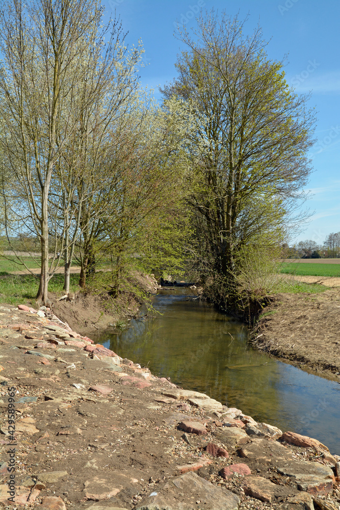 selz-renaturierung bei gau-odernheim