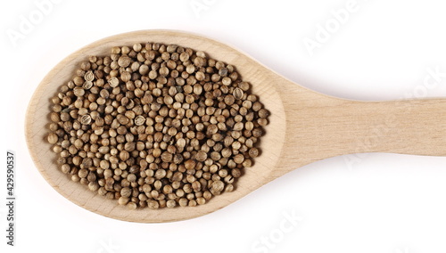 Coriander seeds in wooden spoon isolated on white background, top view