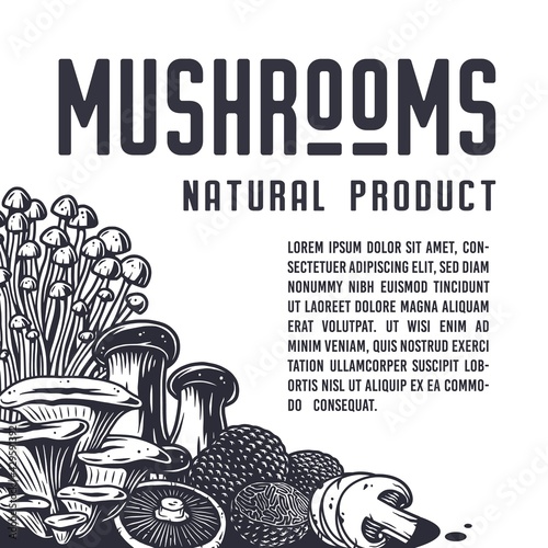 Mushroom picking of morel. Vegetarian fungus boletus or cremini collection for food. Organic nature mushrooms or fungi porcini for healthy nutrition