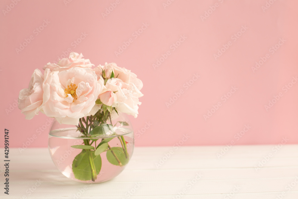 Tender light garden roses in a transparent vase on pink pastel background. Tender light garden roses in a transparent vase on pink pastel background.