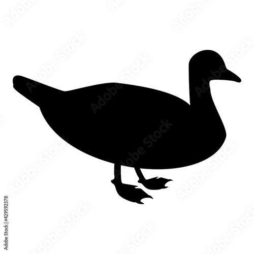 Silhouette duck male mallard bird waterbird waterfowl poultry fowl canard black color vector illustration flat style simple image