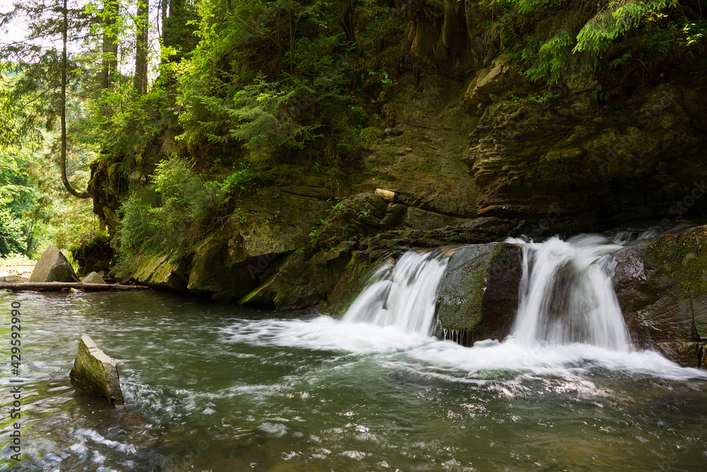 Fototapeta premium Landscape with small mountain river in Western Ukraine