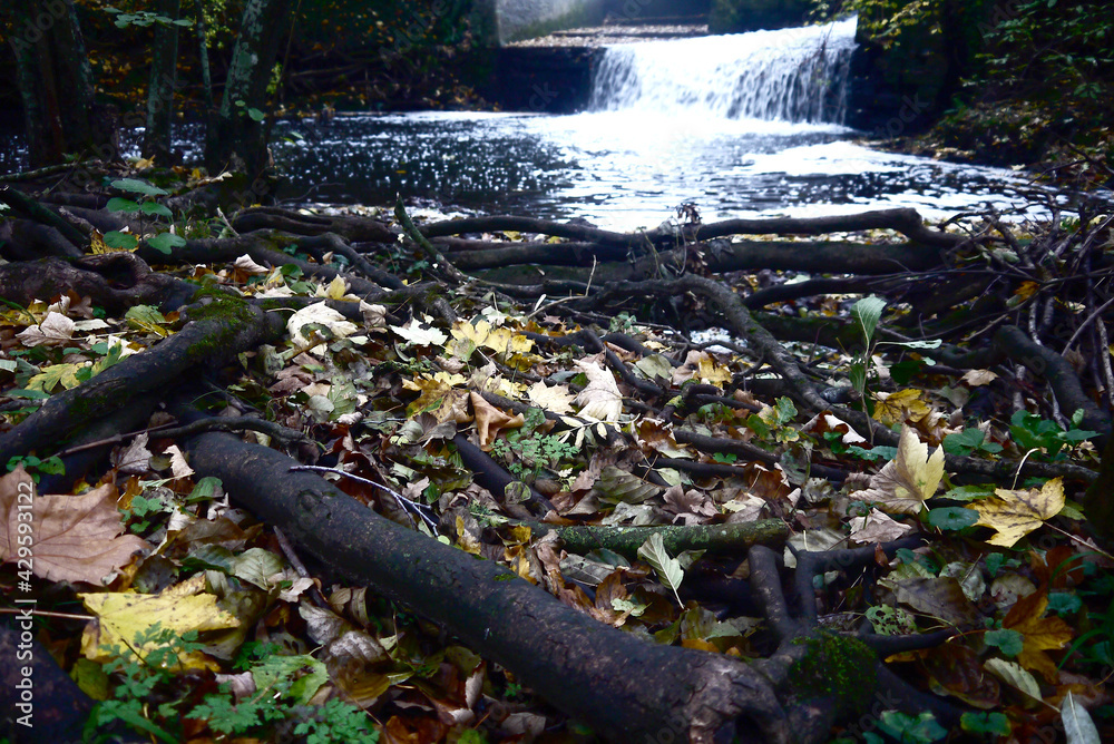 Obraz premium Week end au bord de l'eau, cascade 