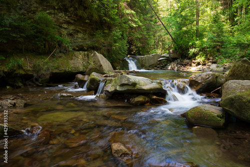 Beautiful summer landscape in Carpathian mountains