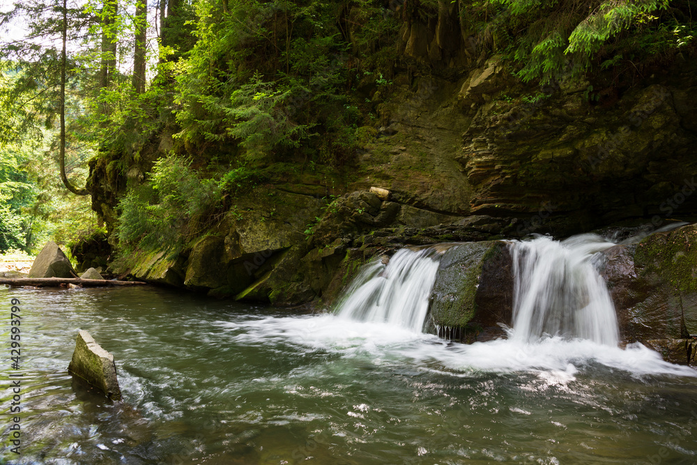 Fototapeta premium Beautiful summer landscape in Carpathian mountains