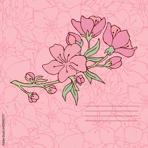 Postcard. Letter. Flowers. Cherry. Sakura. Vector illustration. Vector. Stock vector. The notebook cover. Pink background