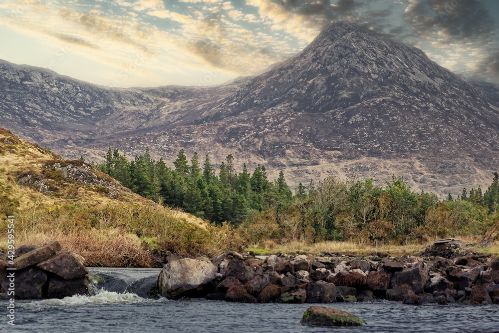 Beautiful morning scenery at Owenmore river with mountains and pine trees in the background at Connemara, county Galway, Ireland 