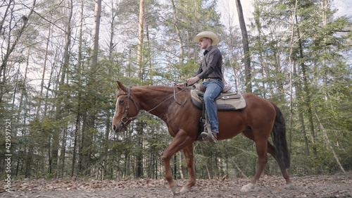 Cowboy enjoy riding horse in forest low angle view © Video_StockOrg