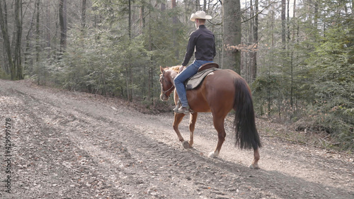Cowboy riding horse on forest trail under the sun