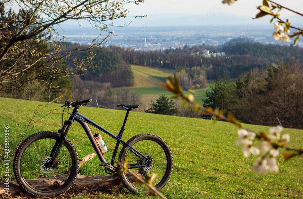 bicycle in the forest with city view