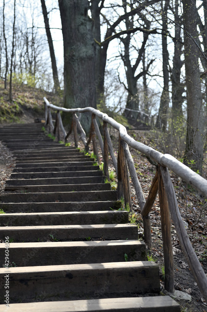 Wooden staircase for climbing the hill in the city park