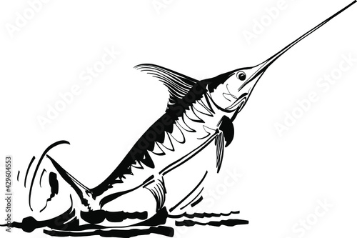 black and white shark