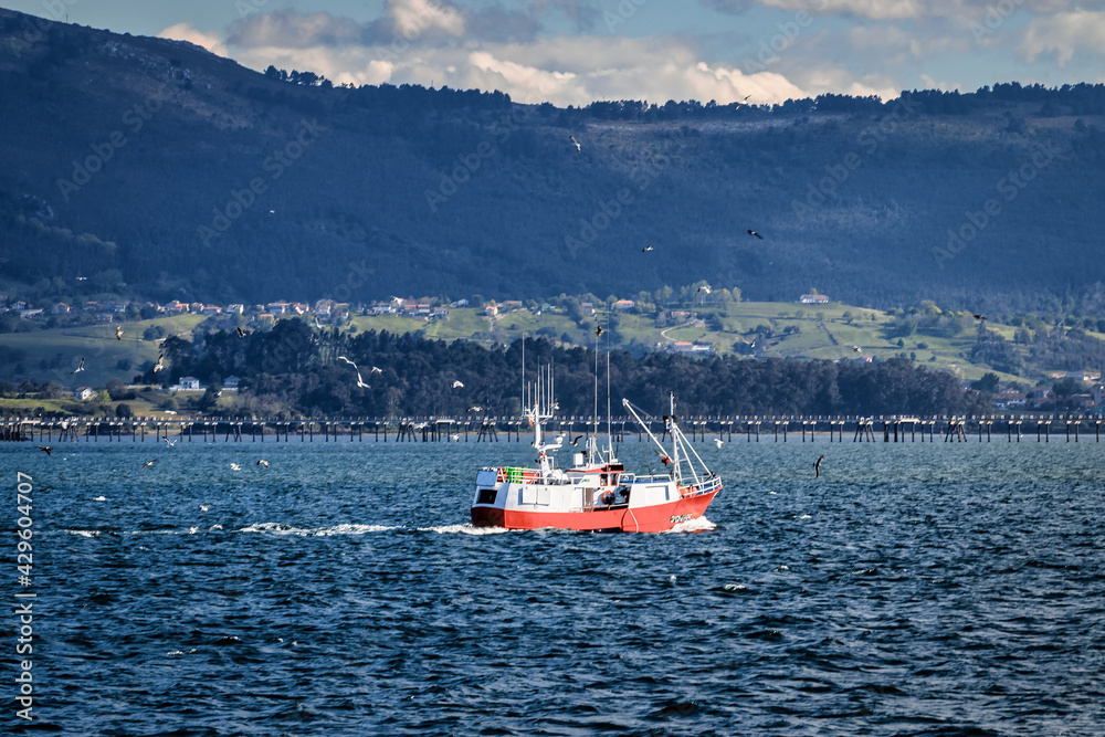 Navegación por la bahía Navegación por la bahía