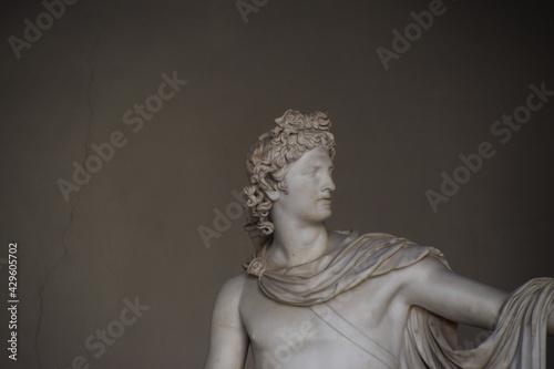 Quadro em tela Apollo Belvedere