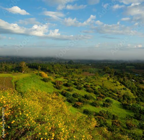 Fototapeta Naklejka Na Ścianę i Meble -  view of a green valley in Thailand