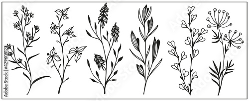 set of simple herbs, wildflowers and leaves, branches with berries, black and white linear drawing of botanical elements, meadow plants, stylized vector graphics