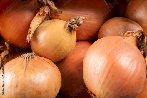 Background of brown raw onions.