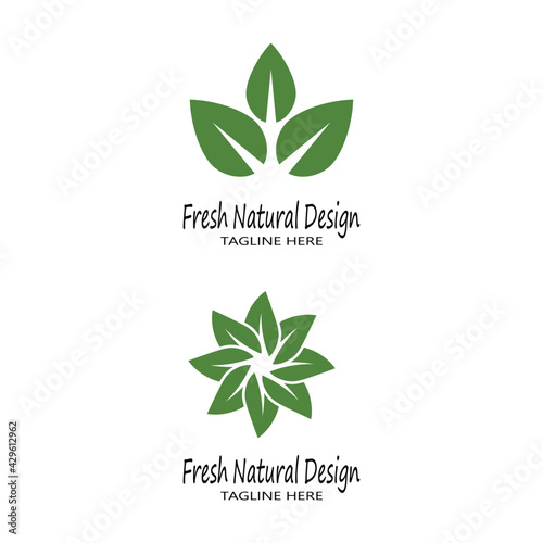 Mint leaves flat vector color icon template illustration design