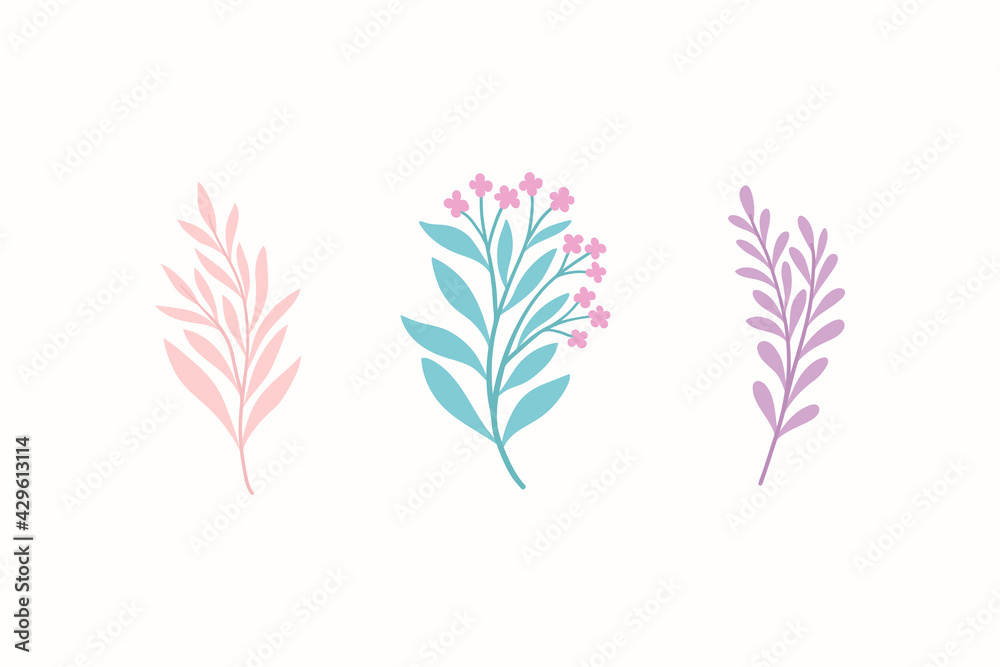 Set of botanical vector elements. Hand drawn illustration with leaves and plants.  Floral ornaments for card, logo design, print fashion.