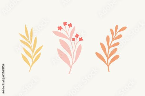 Set of botanical vector elements. Hand drawn illustration with leaves and plants.   Floral ornaments for card  logo design  print fashion.
