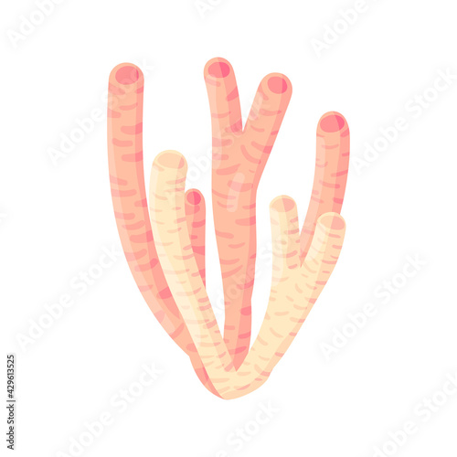 Coral, polyp vector underwater plant. Aquarium, ocean and undersea life isolated on white background. Aquarium fauna and ocean reef habitat in a simple cartoon style.