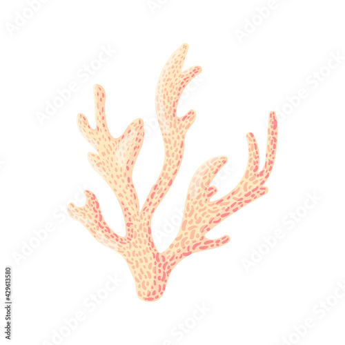 Coral, polyp vector underwater plant. Aquarium, ocean and undersea life isolated on white background. Aquarium fauna and ocean reef habitat in a simple cartoon style.