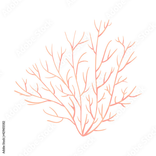 Coral, polyp vector underwater plant. Aquarium, ocean and undersea life isolated on white background. Aquarium fauna and ocean reef habitat in a simple cartoon style.