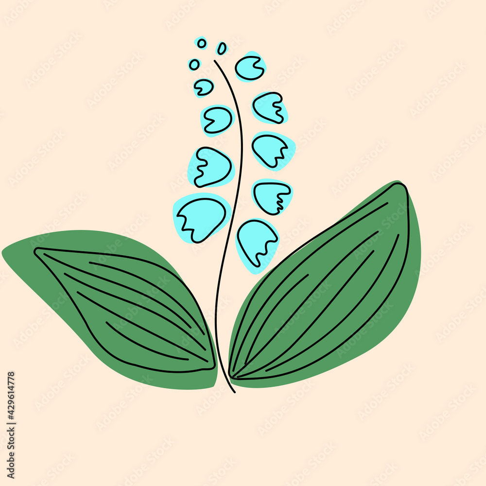 Lily of the valley flower with green leaves hand drawn style. Vector illustration