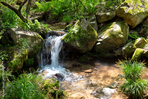 Rivulet in the Qinling Mountain