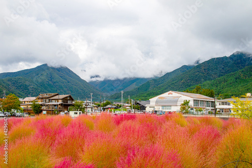 Oishi Park scenery Yamanashi Prefecture Japan