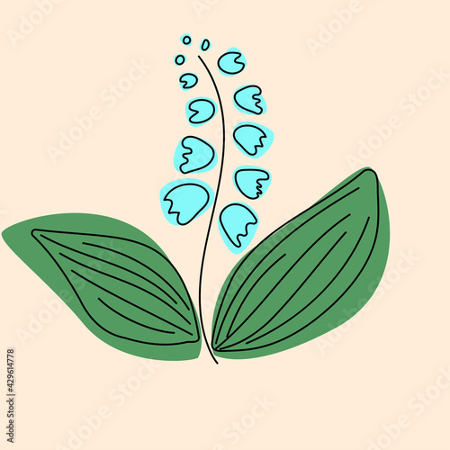 Lily of the valley flower with green leaves hand drawn style. Vector illustration