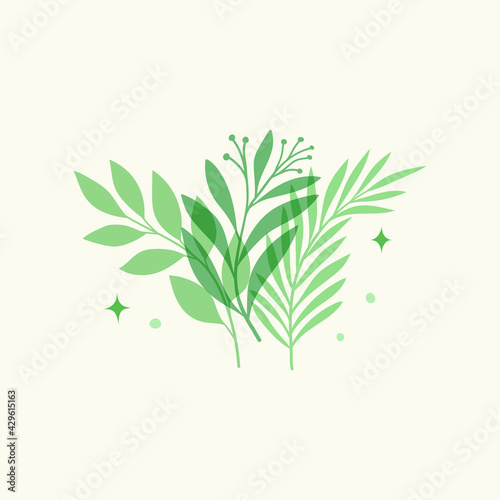 Set of  modern floral vector banner. Botanical illustration template background. Abstract plant elements for print design, social media, post banner and presentation.