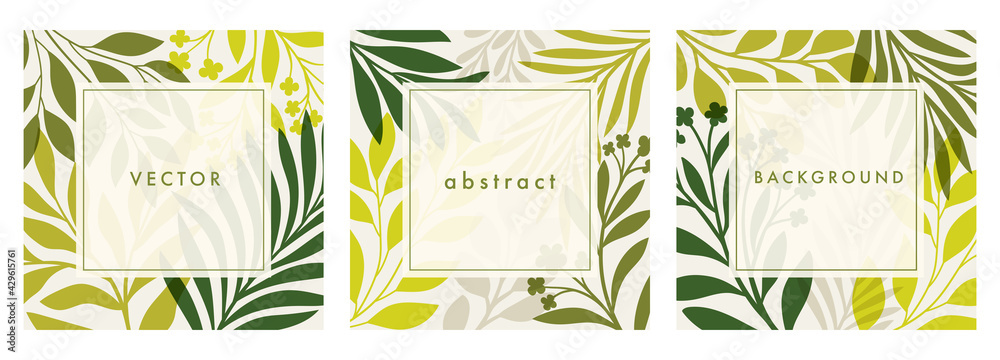 Set of square template with botanical elements. Modern vector floral illustration for print design, social media post, web ads. Abstract plant background.