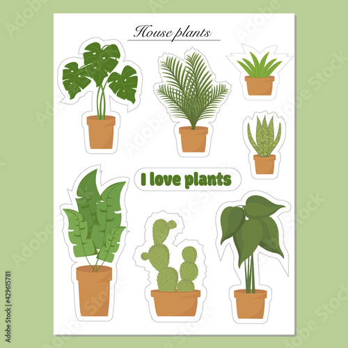 Home plants collection set. Houseplant stickers. Decorative houseplants. isolated on white background. Perfect for poster, planner stickers, cards. Vector illustration. Cartoon characters.