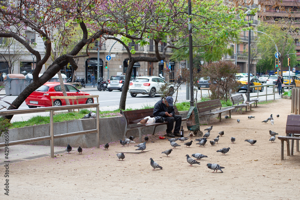 A beggar sits on a bench in a city square and feeds pigeons. Social problems in society.
