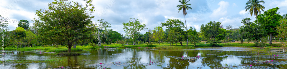 Natural pond Landscape panoramic view near Jaya Sri Maha Bodhi car park.
