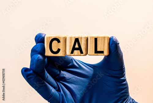 Wallpaper Mural The word CAL which is made from wooden cubes. Hands in a blue glove. Isolated on WHITE background Torontodigital.ca