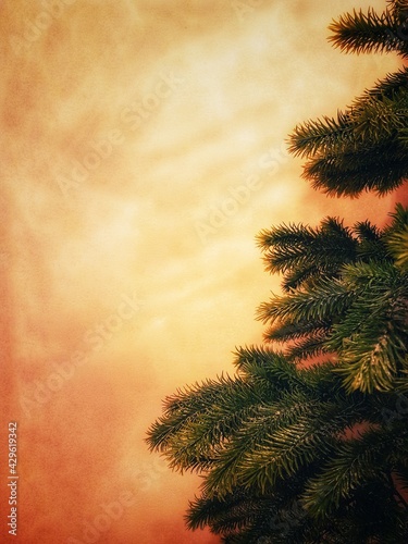 Green Christmas tree against a grunge burnt orange background.