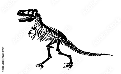 Graphical skeleton of tyrannosaurus isolated on white background,vector illustration ,fossils
