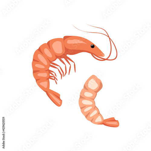 Set of shrimps or prawns icon. Seafood for dinner or a snack. Delicious and healthy food. A source of vitamins and healthy nutrition