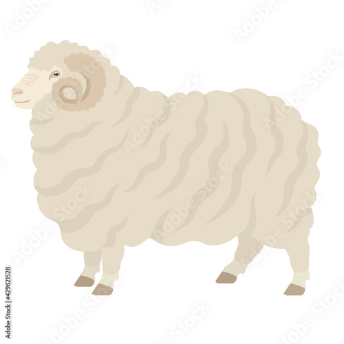 Merino sheep Ram Farm animals Flat vector illustration Isolated object