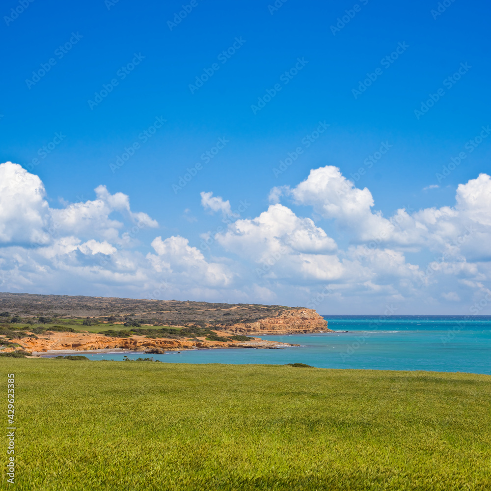green prairie above emerald sea bay, summer natural background