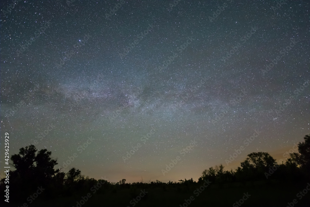 Fototapeta premium night starry sky with milky way above dark forest silhouette