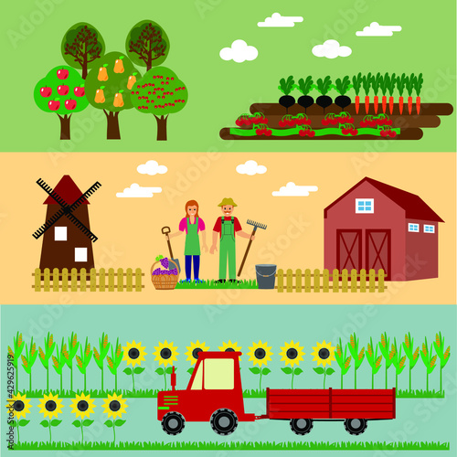 Illustration of the process of growing and harvesting crops. Equipment for agriculture. Vector set of agricultural vehicles and farm machines. Tractors, harvesters, combines. photo