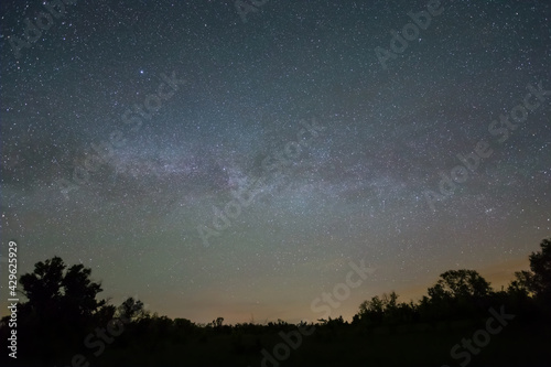 night starry sky with milky way above dark forest silhouette
