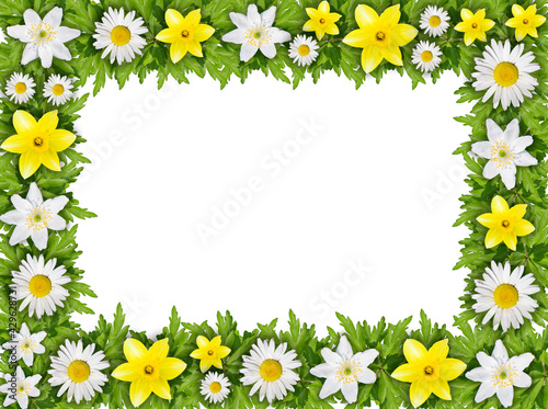 Background of beautiful flowers with leaves