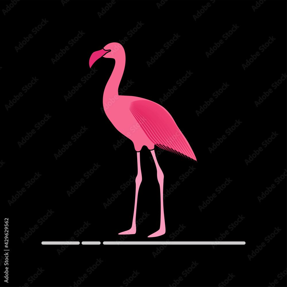 Obraz premium Flamingo vector art and graphics